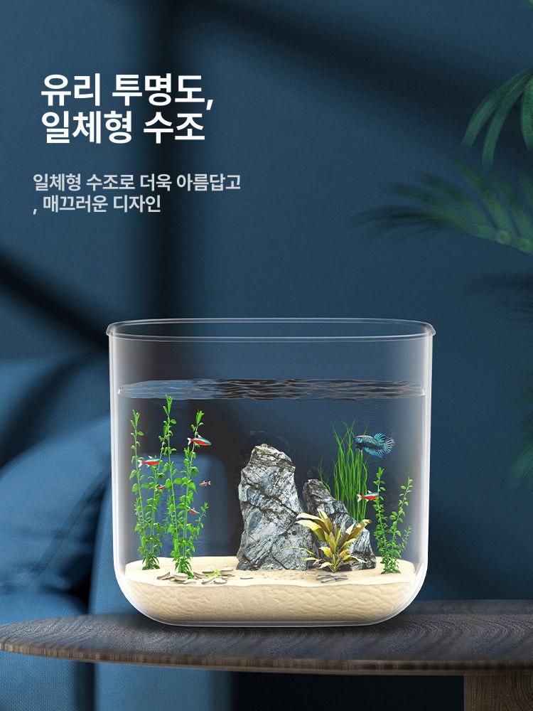 수족관 어항 원형 미니 거북이 금붕어 수조 둥근 소품 거실 사무실 화분 - 상세 이미지 5