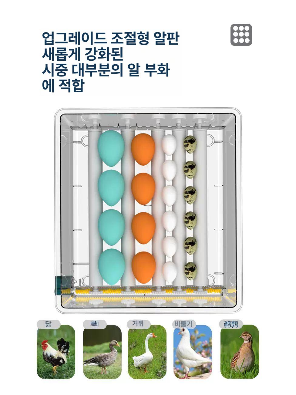 거위 부화기 자동 양계장 메추리 알 인큐베이터 대형 이중 전자동 조류 가금류 계란 소형 - 상세 이미지 5