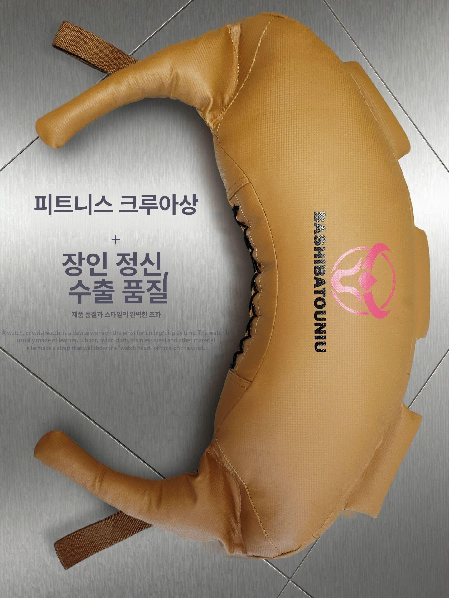 모래주머니 불가리안백 웨이트 홈짐 런지 파워백 사이즈 헬스 근력 홈트 훈련 - 상세 이미지 5