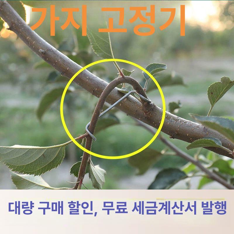 과수 나무 유인추 철제 가지 과일 고정대 장치 지지대 클립 - 상세 이미지 2