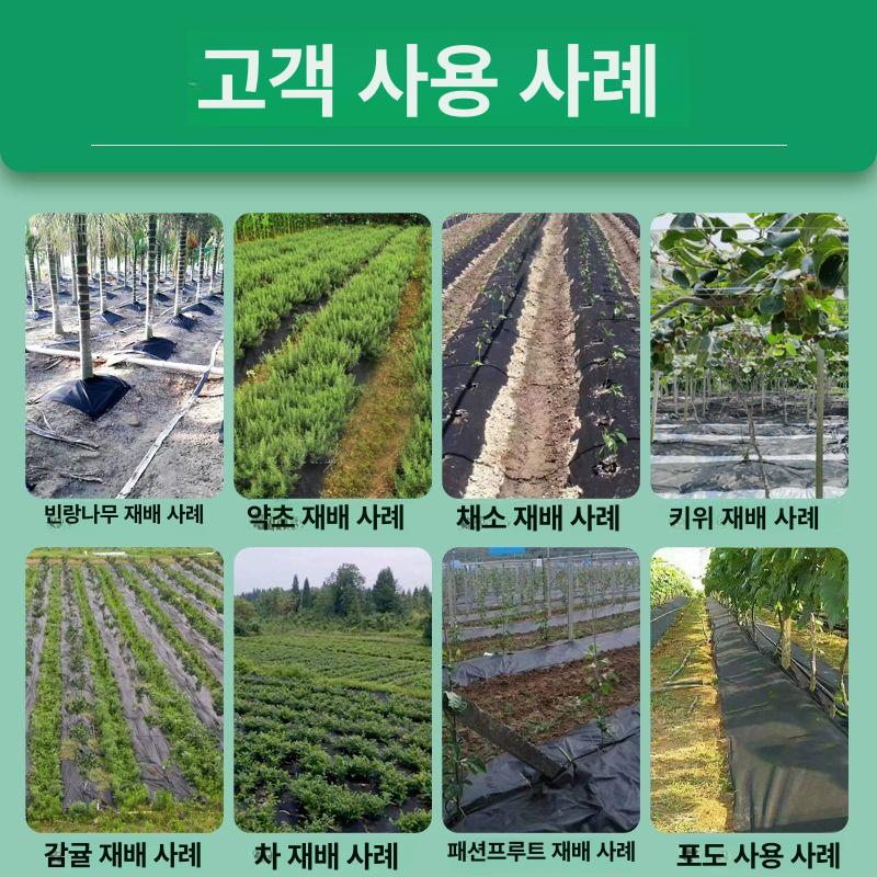 나무 방초망 부직포 제초 매트 제초망 묘목 농업용 사각형 텃밭 농사용 잔디 잡초 원예 - 상세 이미지 3