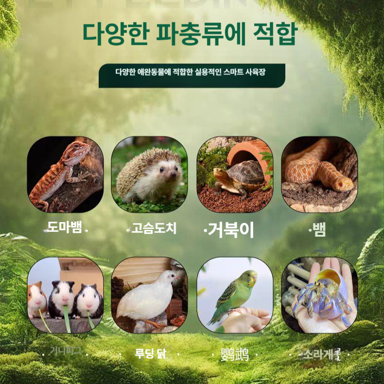 원목 육지거북이사육장 삼면 파충류 테라리움 보온 일광욕 오픈형 양문형 번식 - 상세 이미지 4