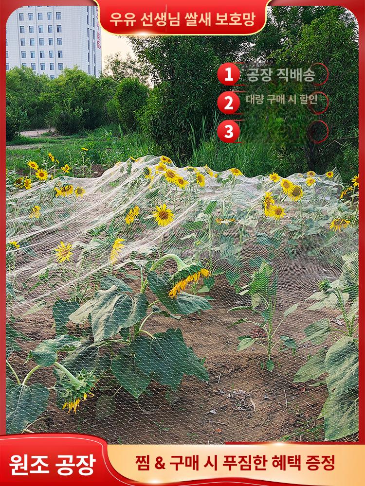 투명 휀스망 과수원 울타리 발코니 그물망 방조망 길이 펜스 안전망 보호망 원예 세로 - 상세 이미지 2