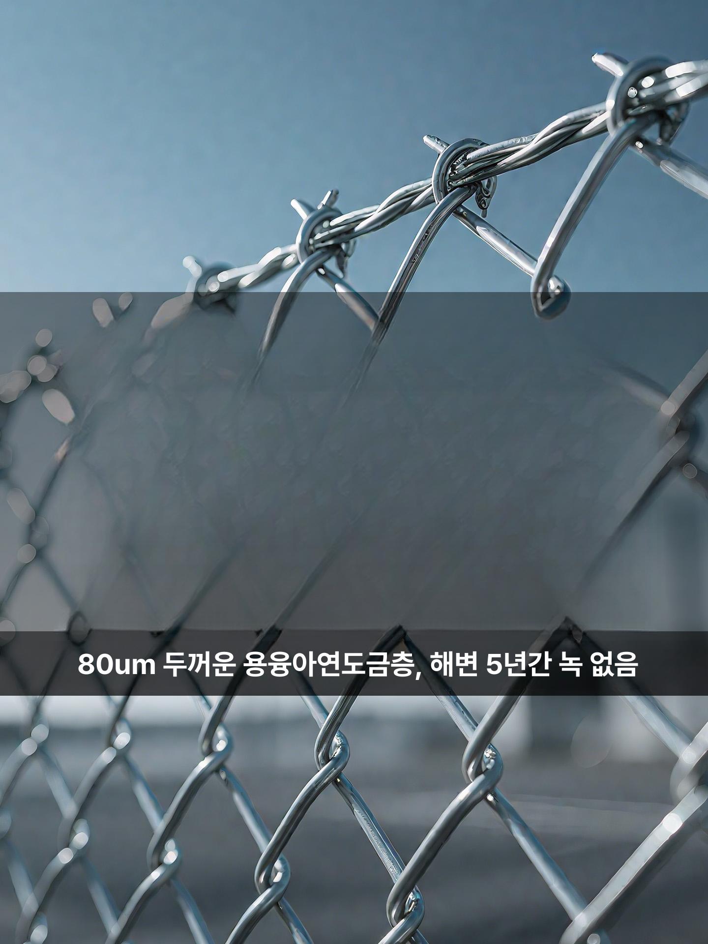 아연 울타리망 방형망 안전망 경계망 그물망 휀스 양계장 닭장망 농업용 과수원 담장 - 상세 이미지 2