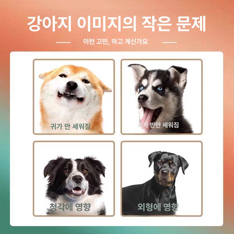 개 귀고정기 성형 패치 귀세우기테이프 엘프귀테이프 엘프귀스티커 귀모양교정 접힌귀 - 상세 이미지 4