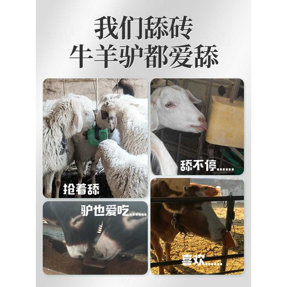 미네랄 블록 블럭 영양제 소금 젖소 큐브 염소 염분보충 받침대 구충 히말라야 핥기 - 상세 이미지 3