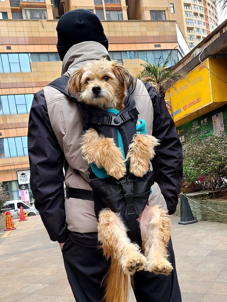 외출용 가방 반려견 애완동물포대기 슬링백 여행 통기성 애견이동장 강아지캐리어 - 상세 이미지 2