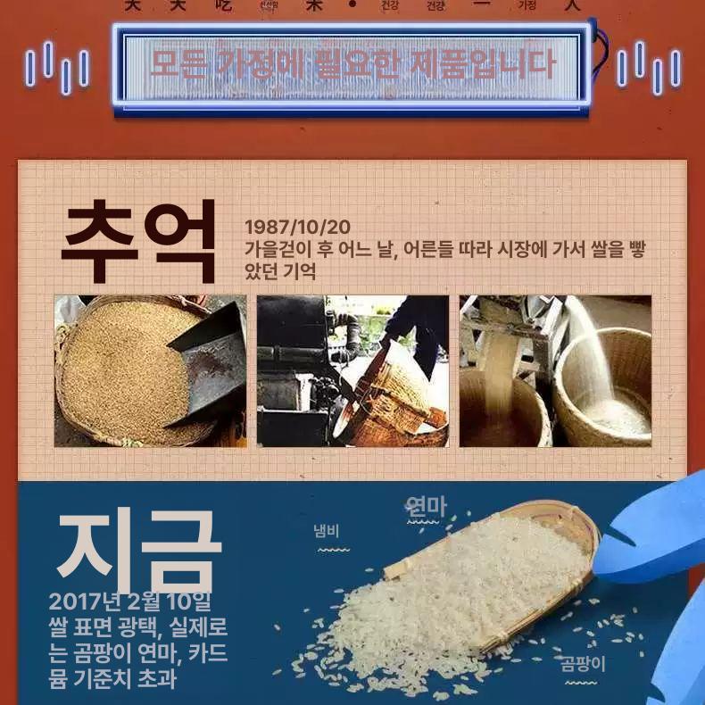 전자동 가정용정미기 소형 기계 탈곡기 분도조절기 다기능 곡물 배아 껍질 쌀깎기 - 상세 이미지 4