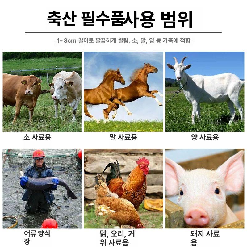 잔가지 파쇄기 목재 톱밥 농장 전기 나뭇가지 모터 가솔린 사료 건초 볏짚 기계 절단기 - 상세 이미지 4