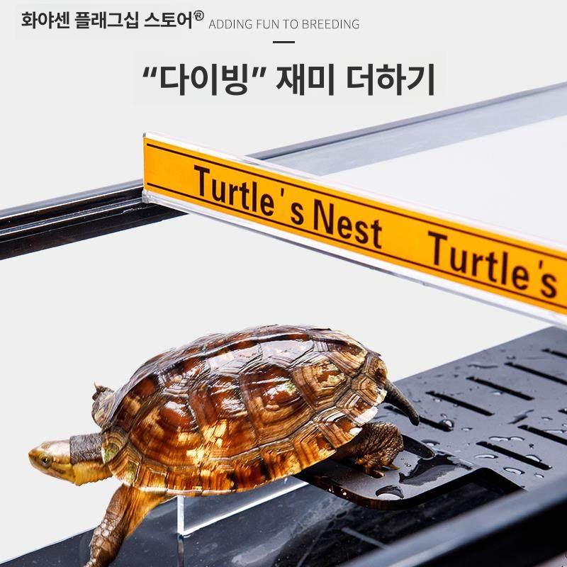 대형 촬영용수조 스튜디오 물고기 거북이 연출 콘텐츠 포토 탱크 수중촬영 오픈형 - 상세 이미지 3