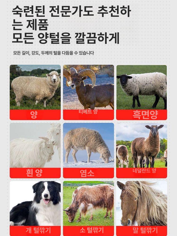 전동 깎기 대형견 전기 애견 직선칼 깍기 기계 이발기 동물 양털깍이 강아지 반려견 - 상세 이미지 2