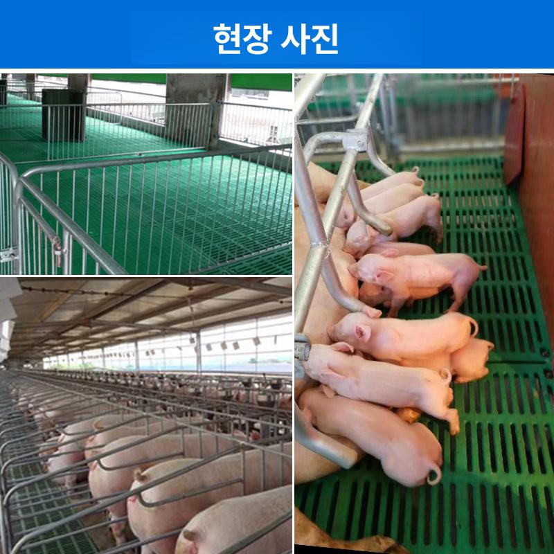 분뇨 바닥재 깔개 배수판 고정 염소 양돈 시트 축사깔판 목장 파렛트 돈사바닥 데크 - 상세 이미지 2