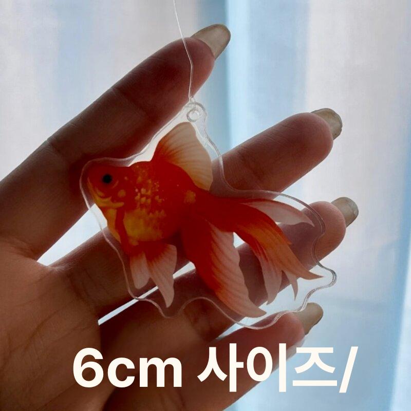 금붕어커텐 침실 쉬폰 인테리어 무드 커튼 사이즈 여름 커텐 반짝이는 타입 금붕어 창문 - 상세 이미지 5