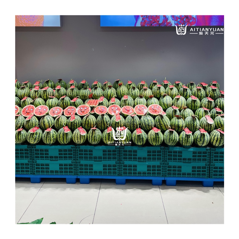 20개 고정 농자재 메론 보호대 타원형 업소용 수박받침대 재배용 농사용 멜론 맞춤 - 상세 이미지 5