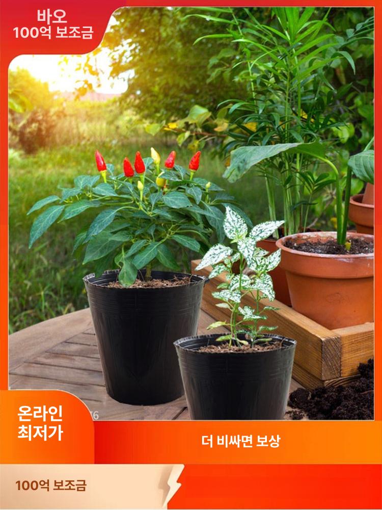 대형 비닐 모종포트 화분 봉지 원형 텃밭 가드닝 다육이 - 상세 이미지 2