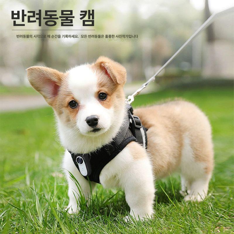 강아지 카메라 바디 세트 렌즈 캡 케이스 - 상세 이미지 2
