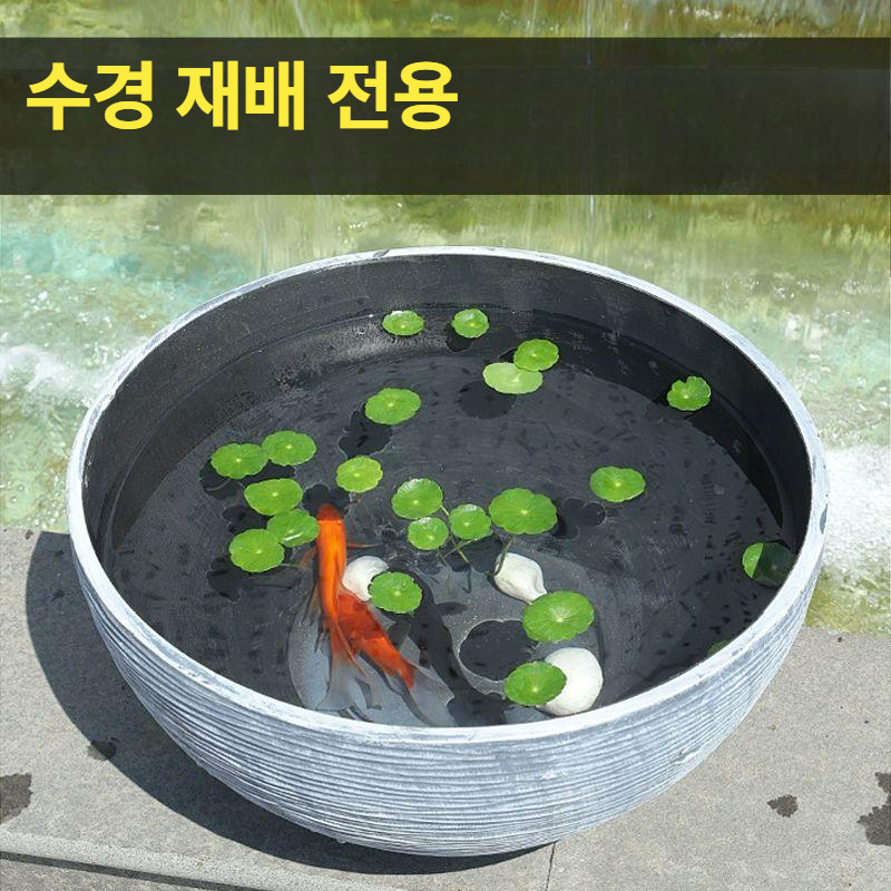 대형 연꽃화분 인테리어 수련화분 수생식물 수경재배 분갈이 가드닝 그릇 플랜터 - 상세 이미지 5