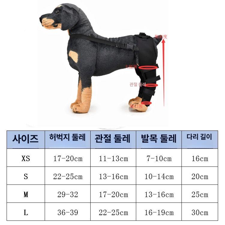 뒷다리 탈구보조기 반려견 무릎 노견 강아지슬개골보호대 다리보호대 지지대 - 상세 이미지 4