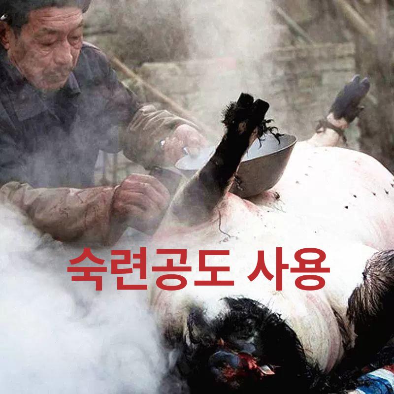 소발굽 그라인더 전기 연삭기 깍기 말발굽 편자 속도조절 관리기 말굽깎이 제거 - 상세 이미지 4