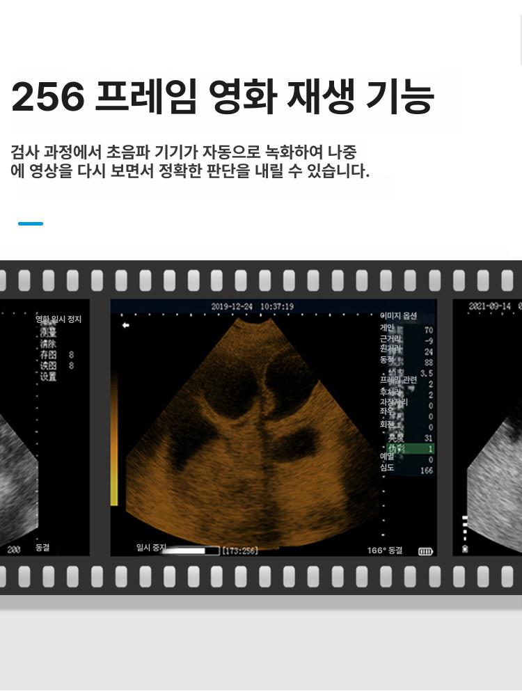 장비 초음파기 수의학 양 돼지 반려동물 임신진단 측정기 검사 프로브 스캐너 - 상세 이미지 3