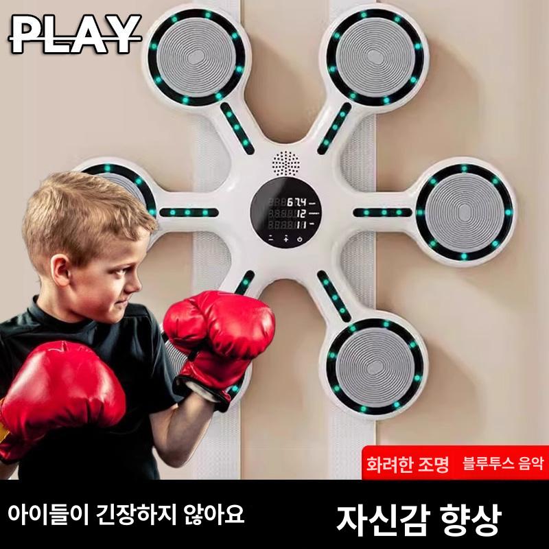가정용 펀치볼 권투 훈련용 태권도 복싱바 격투기 거치대 회전 스피드볼 벽걸이 스탠드 - 상세 이미지 2