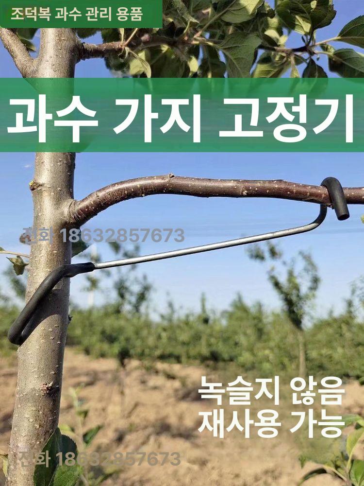 원예 거치대 고정링 클립 과수나무 개량형 식물 정원 아연 재사용 사과나무유인추 - 상세 이미지 3