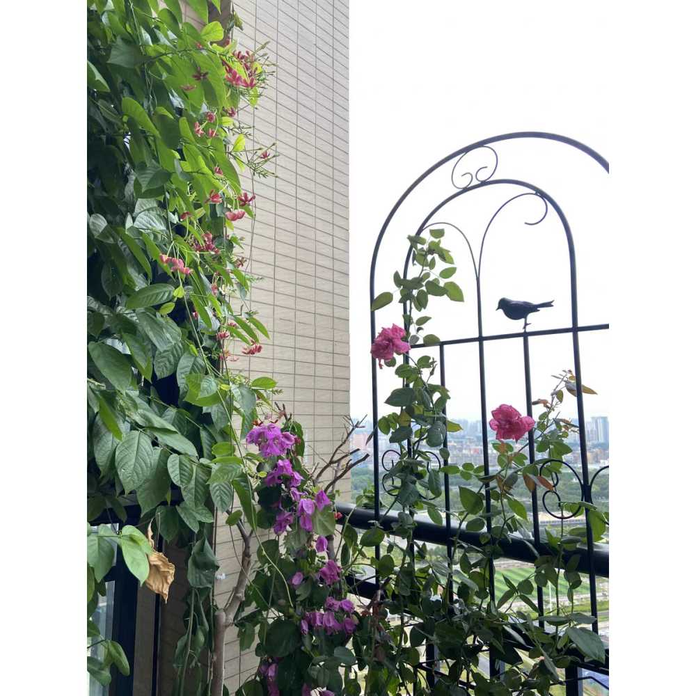 펜스 키우기 덩굴 담장형 텃밭용품 장미울타리 넝쿨 지주대 대문 오벨리스크 아치형 - 상세 이미지 2
