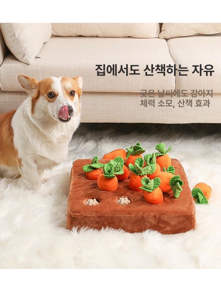 고양이 장난감 당근 밧줄 캣완트 간식넣는 반려묘 고양이용 - 상세 이미지 2