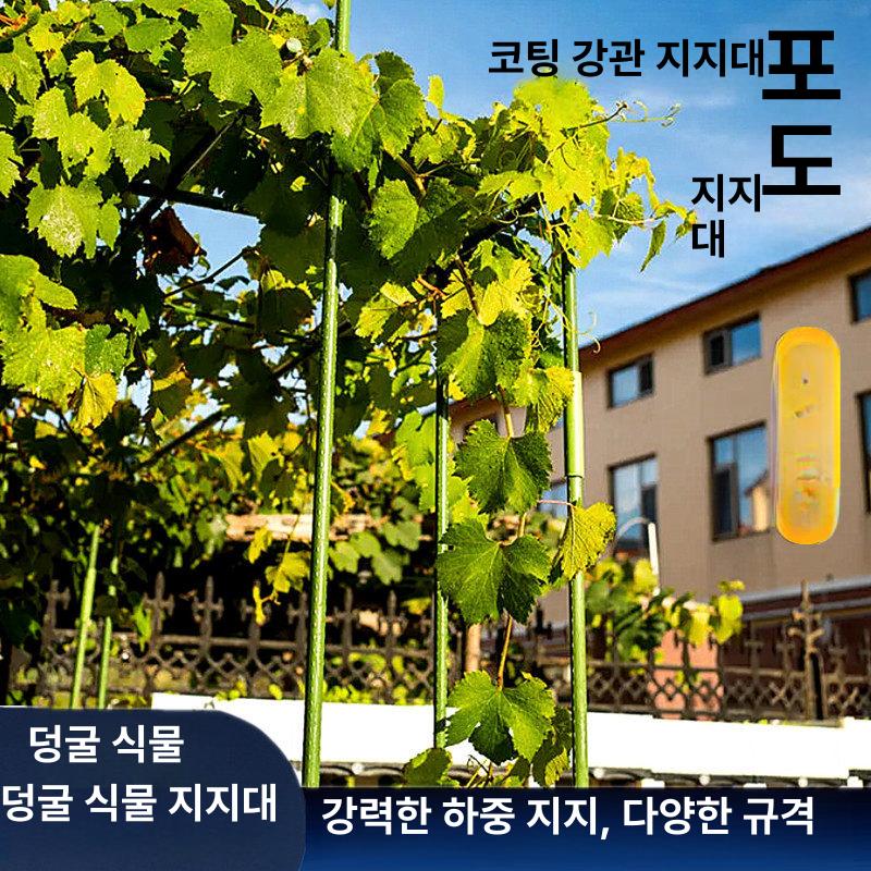 포도나무 지지대 아치 정원 식물 포도 가든 지주대 장미넝쿨 화단 프레임 덩굴 펜스 - 상세 이미지 3