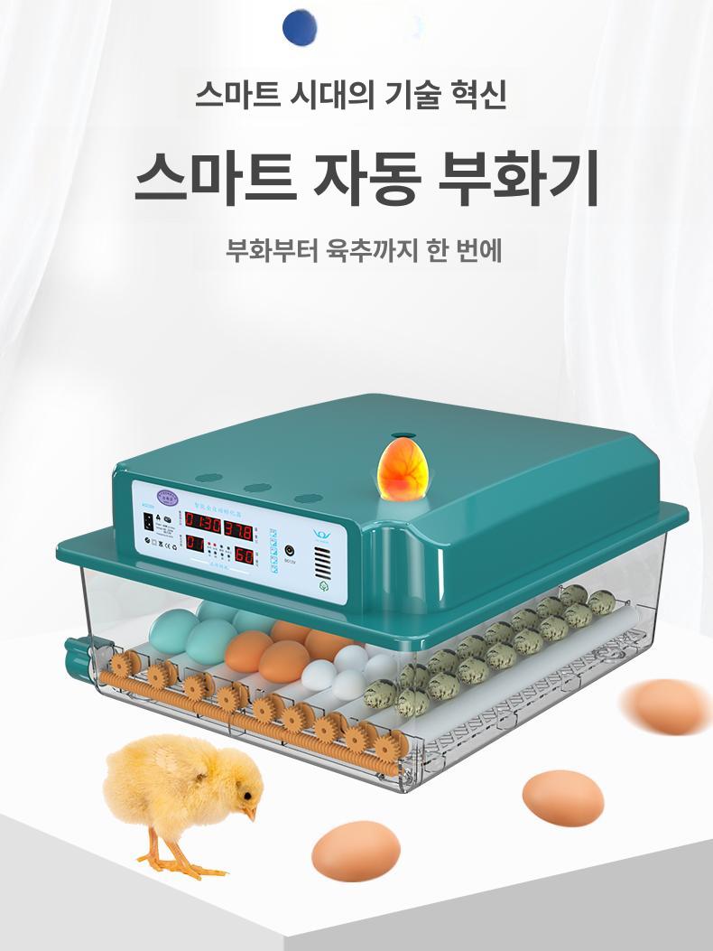 거위 부화기 자동 양계장 메추리 알 인큐베이터 대형 이중 전자동 조류 가금류 계란 소형 - 상세 이미지 2