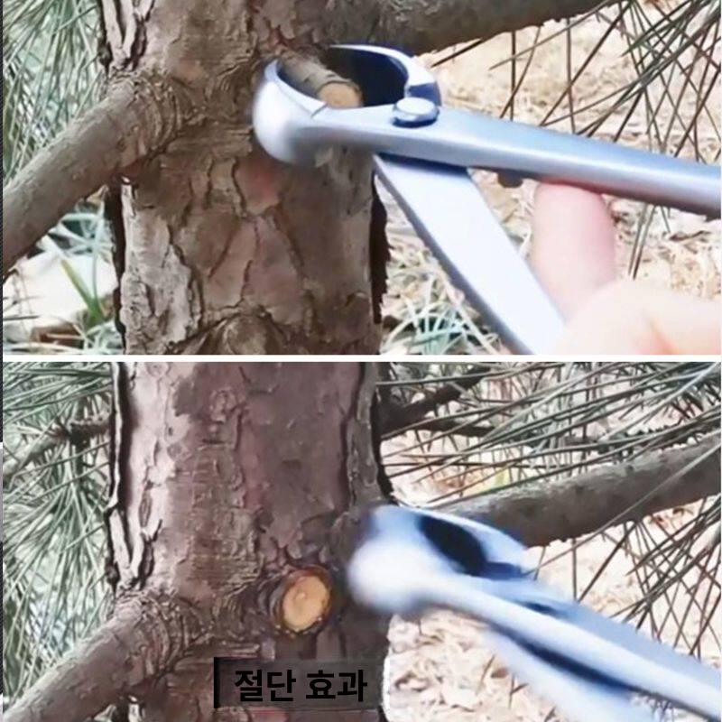 나무가지치기 분재가위 다목적 원예용 전정 스텐 나뭇가지 전지 나무가지 분재용 분재 원예 - 상세 이미지 4