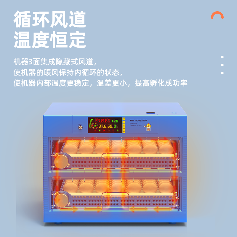 2단 닭 키우기 시험관 대용량 종자병 유정란 인큐베이터 병아리부화기 조류 - 상세 이미지 3