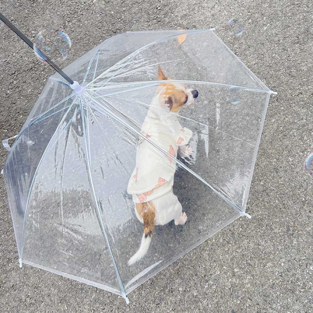 중소형견 펫 개우산 모자 외출 애견우산 산책우산 개비옷 프리미엄 강아지용우산 - 상세 이미지 2