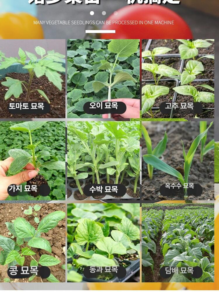 수동 모종심기 참깨 이중핸들 파종기 모종이식기 파이프 이묘기 핸디형 삼구 농기구 심는 - 상세 이미지 4