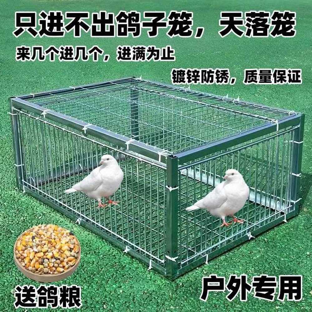 새장 포획망 울타리 사냥 퇴치 야생 비둘기포획틀 포획기 함정 꿩 비둘기덫 유해조류 - 상세 이미지 4