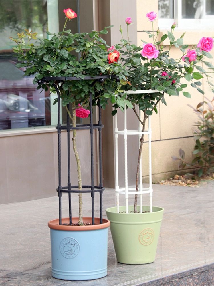 정원용 지지대 대형 원형 받침대 넝쿨식물지지대 원예용 프레임 조립식 가드닝 화분 장미 - 상세 이미지 5