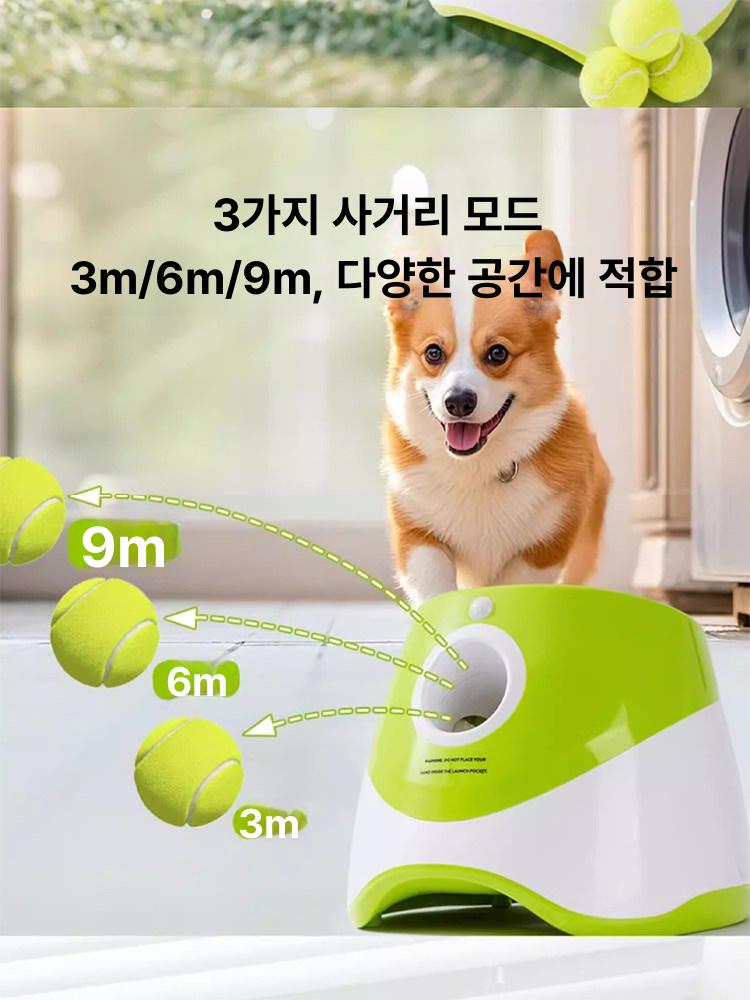 장난감 기계 훈련 공던지는 애견 움직이는 애완견 셀프 반려견 공던지기 테니스 - 상세 이미지 2