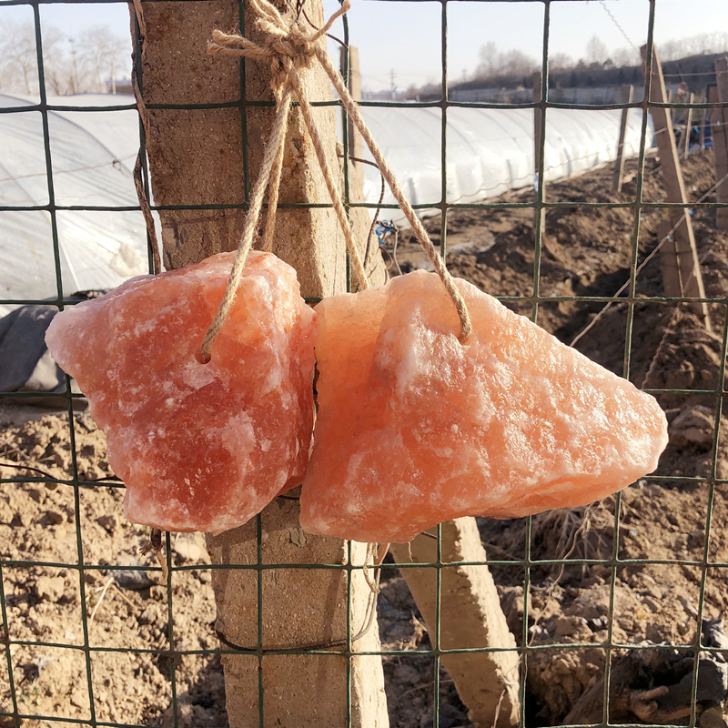 미네랄 블록 농가 영양제 암염 히말라야 동물 송아지 큐브 염소 소금 핥는 블럭 칼슘 - 상세 이미지 4