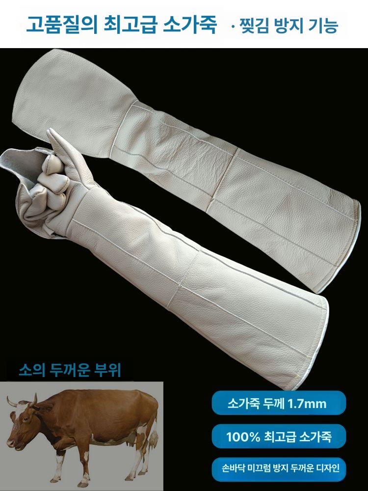 그루밍장갑 미용장갑 장갑브러쉬 애견애묘 고양이털제거 애견브러쉬 고양이털장갑 - 상세 이미지 3