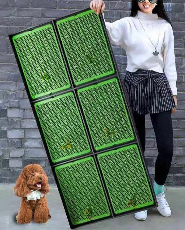강아지배변판 배변판 물청소 수컷 반려견 용품 대형견 애견화장실 강아지 직수 아이스블루 - 상세 이미지 2
