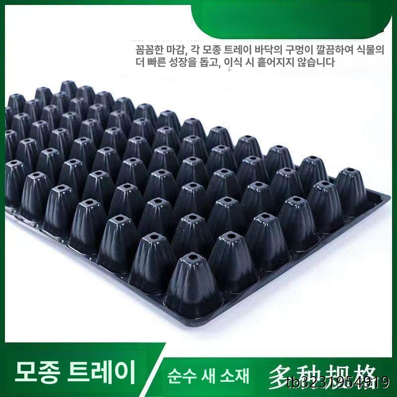 묘목 파종판 육묘판 삽목 농업 상자 새싹 높이 재배 원예 깊은모종판 텃밭 모종트레이 - 상세 이미지 5
