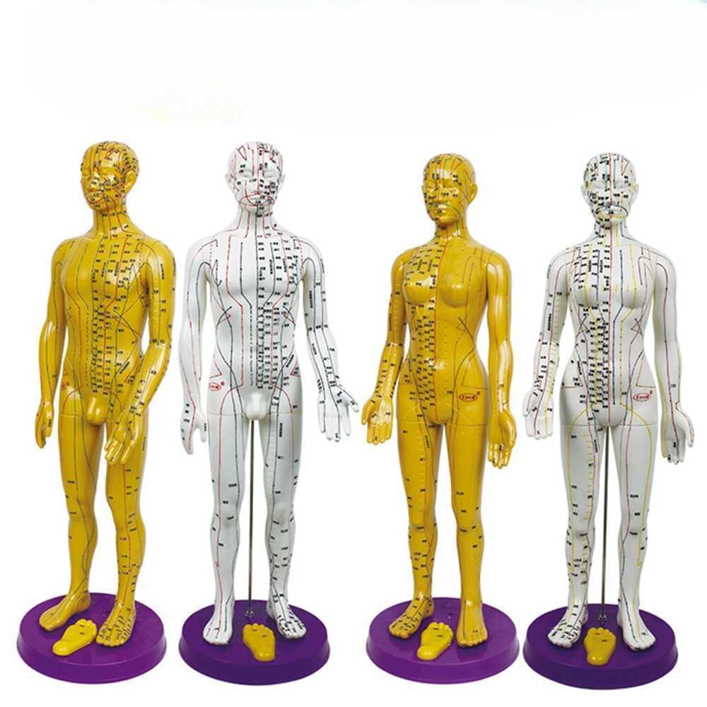 인체 자극 침술 뜸 마사지 한의학 침자리 해부학 인형 모델 교구 신체 근육 - 상품 이미지