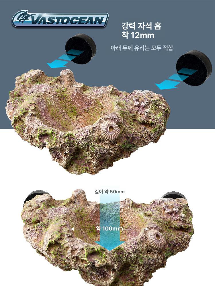 말미잘둥지 수조 바다 장식 조경 해저 수족관 형광 말미잘 산호 꾸미기 식물 빛나는 사육 - 상세 이미지 2