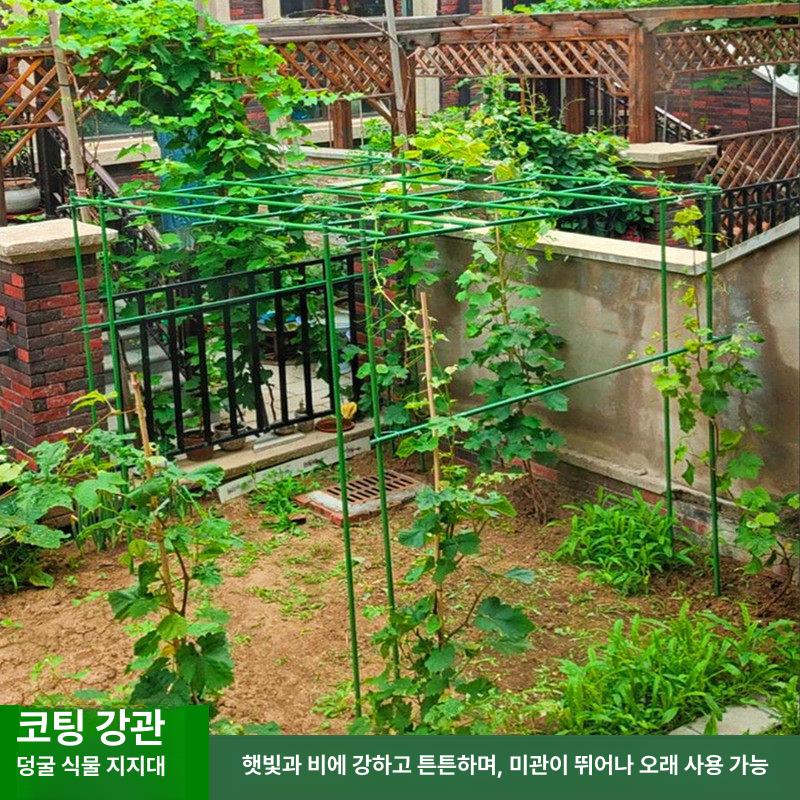 포도나무 지지대 아치 정원 장미넝쿨 화단 식물 특대 울타리 지주대 포도 덩굴 - 상세 이미지 2