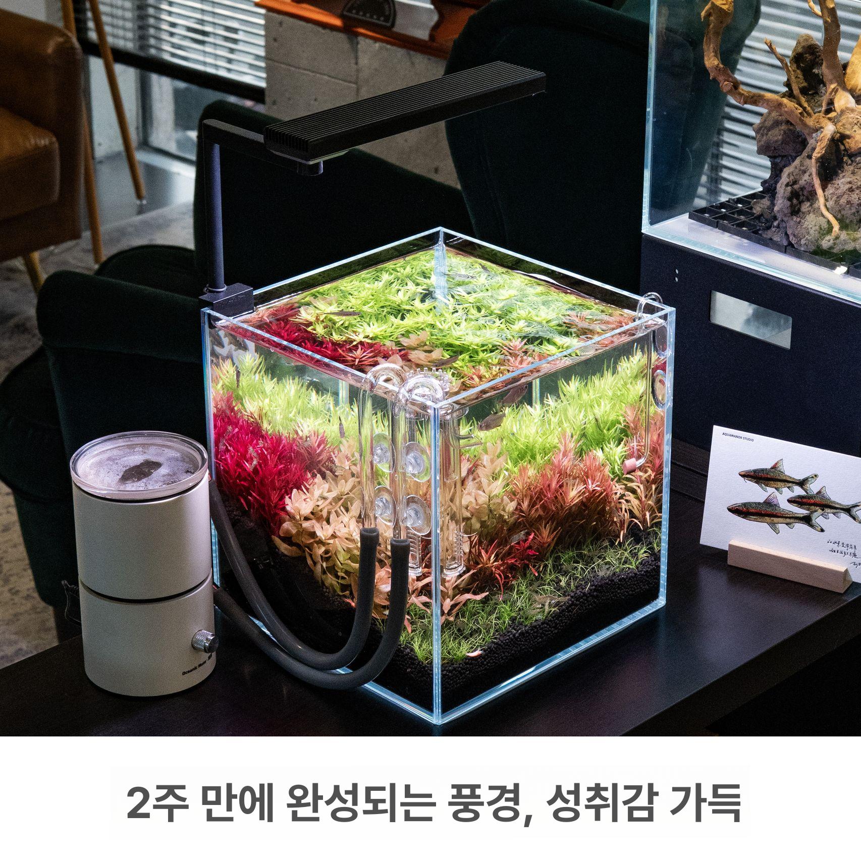 수조 어항스팟조명 산호 해수 스펙트럼 물고기 슬림 식물 수초스팟조명 조명 관상어 성장 - 상세 이미지 5