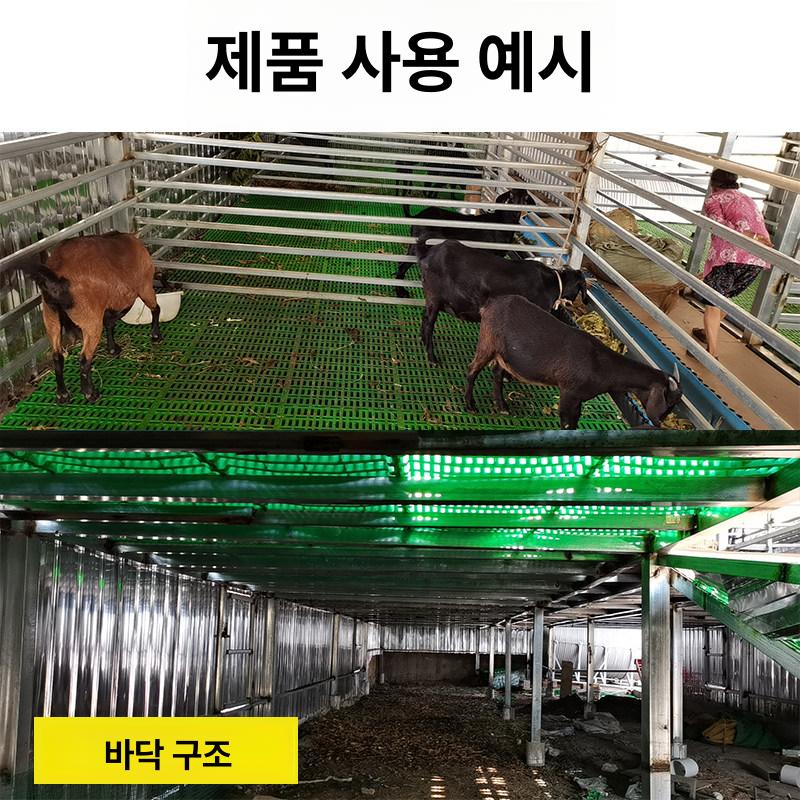 축사 배수판 사육 돼지 간격 건조 탈수 매트 슬레이트 바닥 - 상세 이미지 3