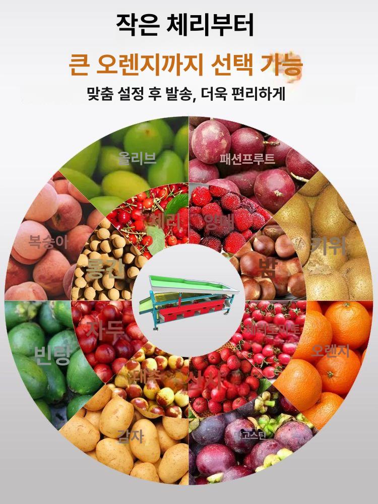 농장 선별기 사과 분리기 대추 자두 복숭아 농업용 속도 과일 과수원 매실 정선기 - 상세 이미지 2
