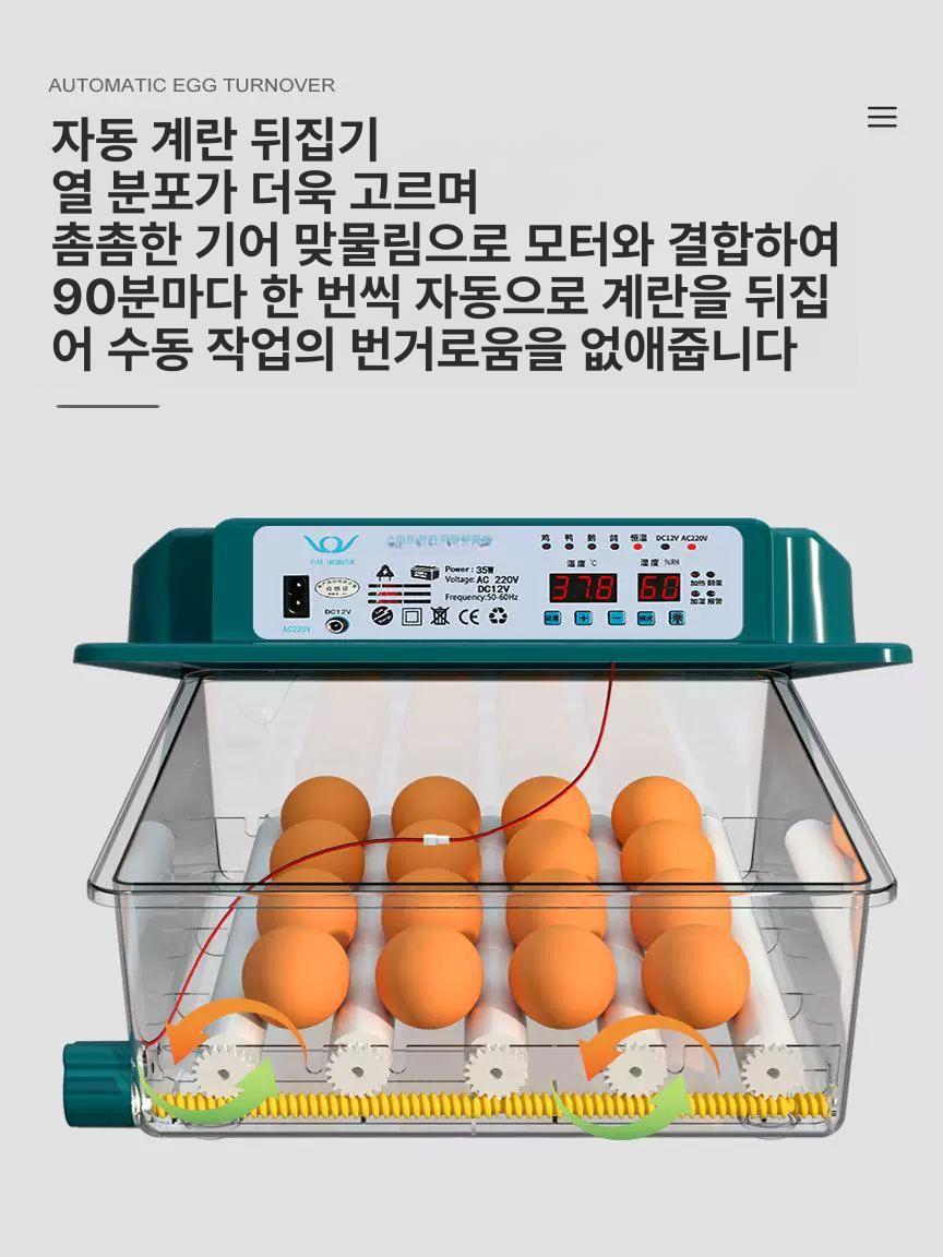 거위 부화기 자동 양계장 메추리 알 인큐베이터 대형 이중 전자동 조류 가금류 계란 소형 - 상세 이미지 4