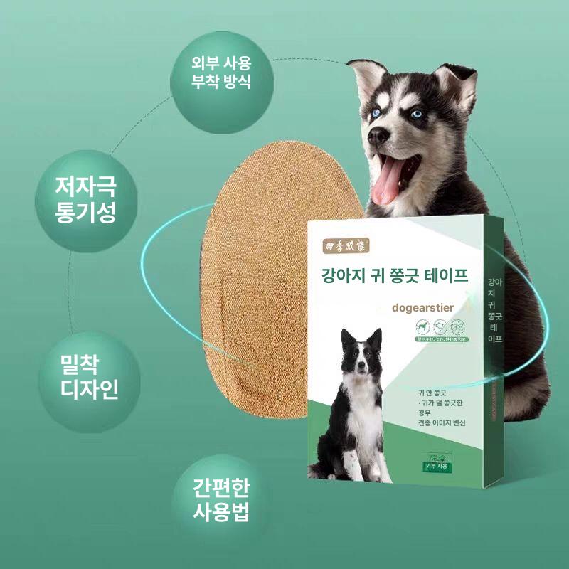 개 귀고정기 성형 패치 귀세우기테이프 엘프귀테이프 엘프귀스티커 귀모양교정 접힌귀 - 상세 이미지 2