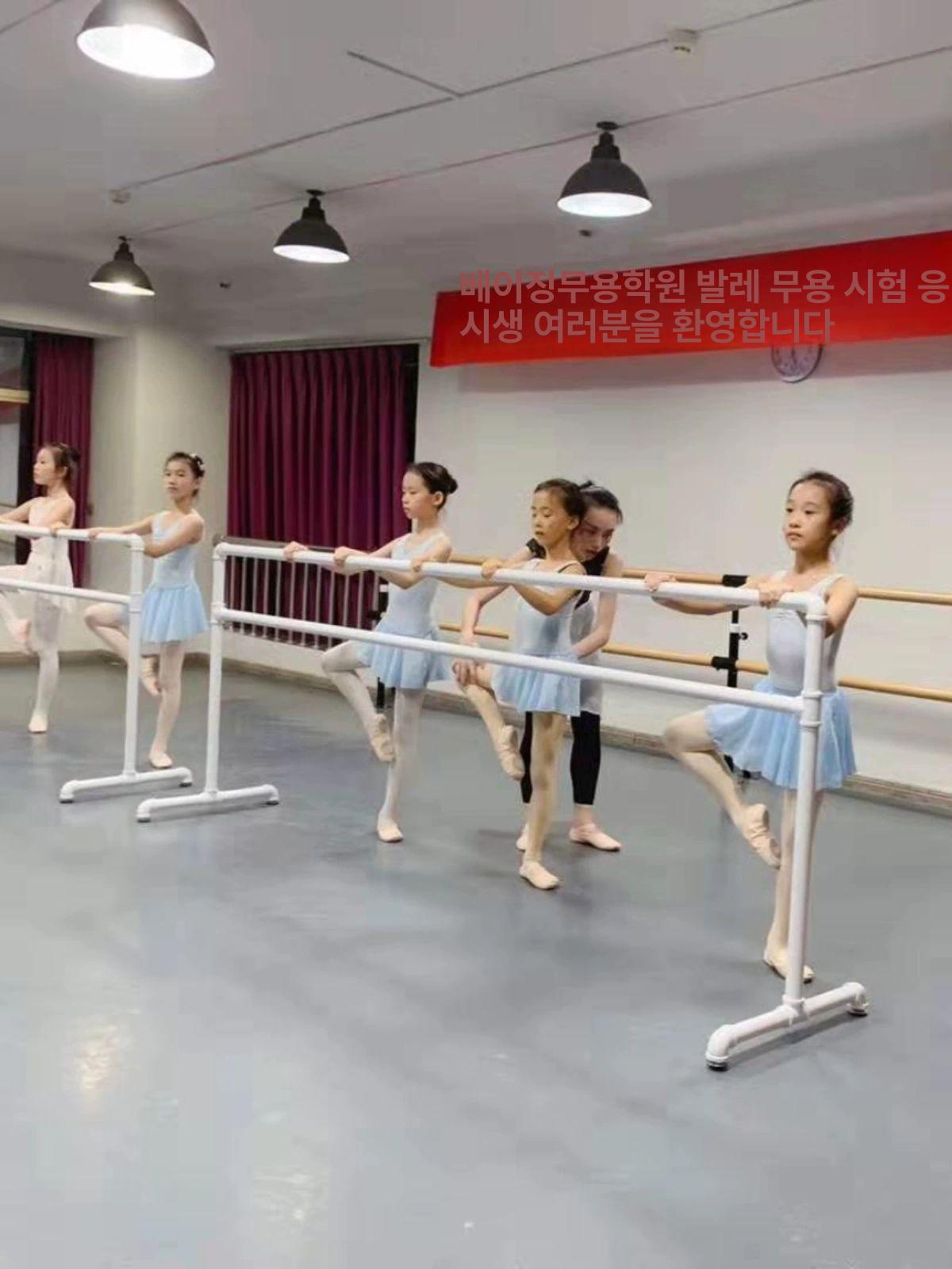 1인용 발레바 무용봉 연습 필라테스 성인 유연성 높이조절 홈트레이닝 가정용 바 스트레칭바 - 상세 이미지 3